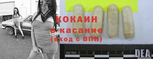 a pvp Магас