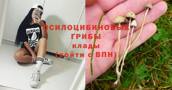 тгк Магадан