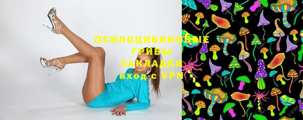 тгк Магадан