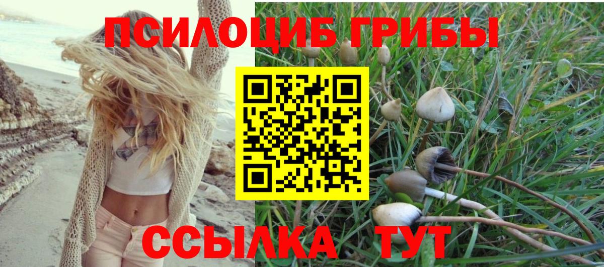 Галлюциногенные грибы GOLDEN TEACHER  Псилоцибиновые грибы Psilocybine cubensis  Вход с VPN  Киров 