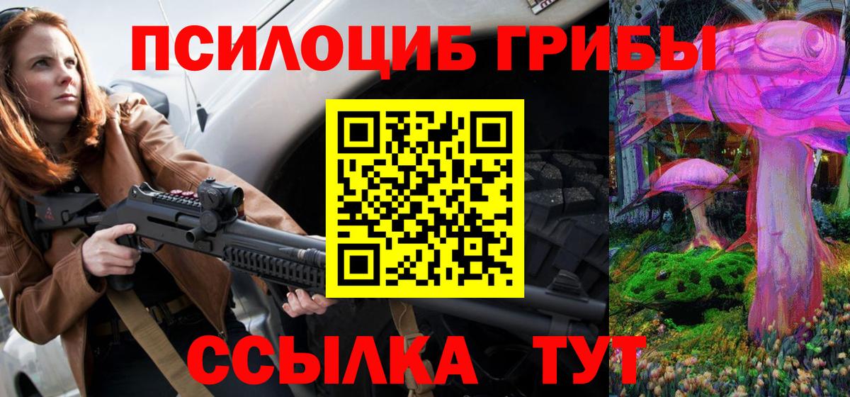 Псилоцибиновые грибы Psilocybine cubensis Киров